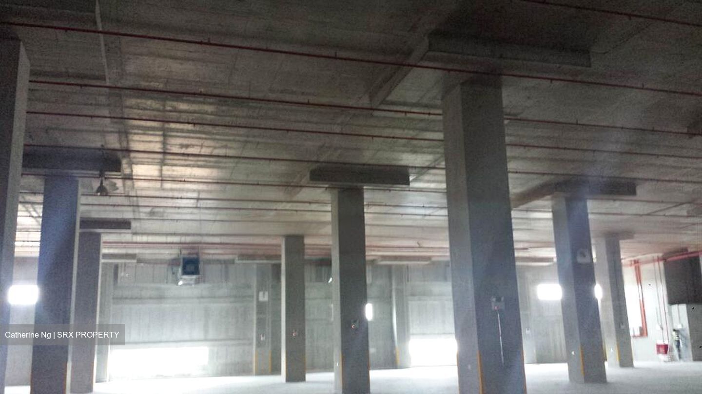 Greenwich Drive (D19), Factory #496449691